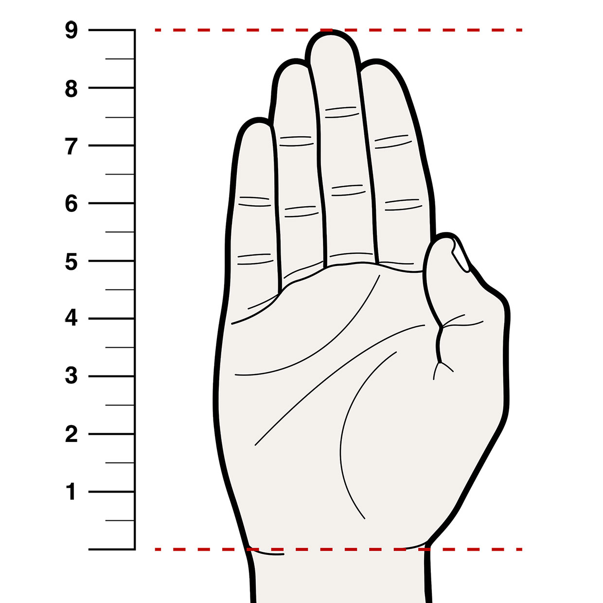 Measure your hand from palm to finger tip