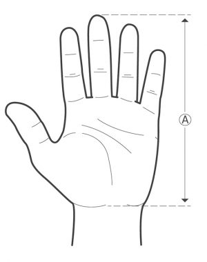 Crease to fingertip measurement